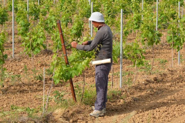 lavoro stranieri assicurazione