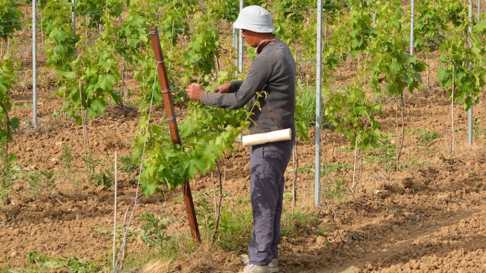 lavoro stranieri assicurazione