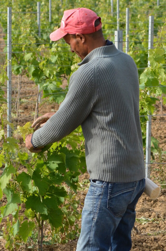lavoratore italia permesso